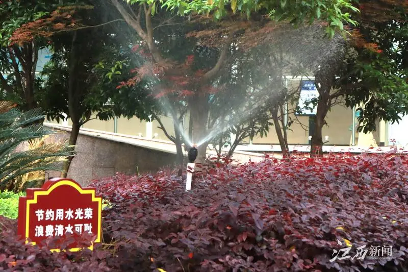 640 (2).webp